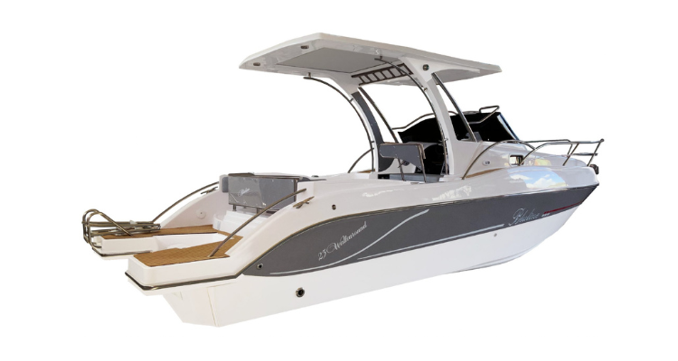 BLULINE 23 FT WALKAROUND - Motorboot